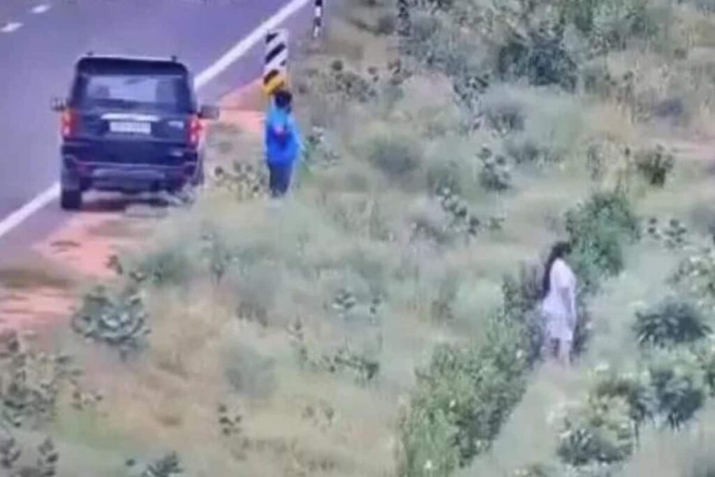 Caught on Camera: Couple Steals Plants Placed Alongside Delhi-Mumbai Expressway, Keeps Them in SUV