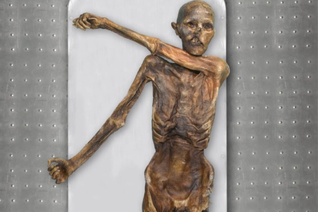 Fresh Look at DNA From Oetzi the Iceman Traces His Roots to Present Day Turkey