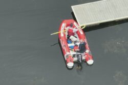 Dog Stuck In A Lake Gets Rescued By Firefighters, 'Thank You' Says Internet