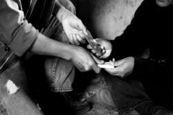 Opinion | Should Personal Liberty of Drug Traffickers Derail India’s Counternarcotics Efforts?