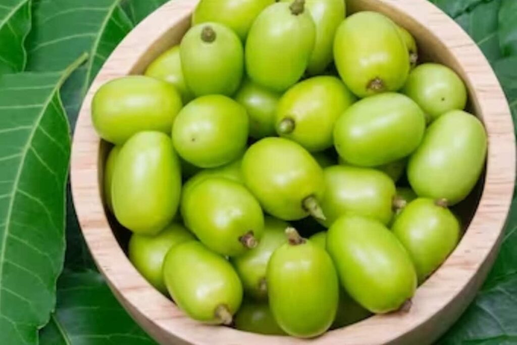 Expert Shares 5 Benefits Of Nimboli For Hair And Kidney Health