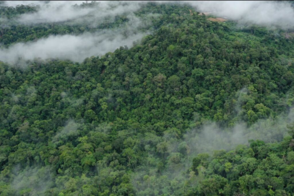 Tropical Forests Nearing Critical Temperatures Thresholds