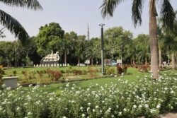 G20 Summit: 6.75 Lakh Pots of Flowering Plants, Foliage to Adorn Delhi Roads