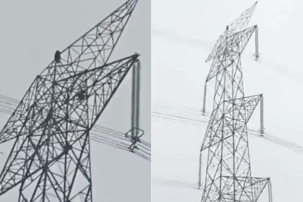 Minor Girl Climbs 80-Feet Tall High-Tension Tower After Fight With Boyfriend in Chhattisgarh | WATCH