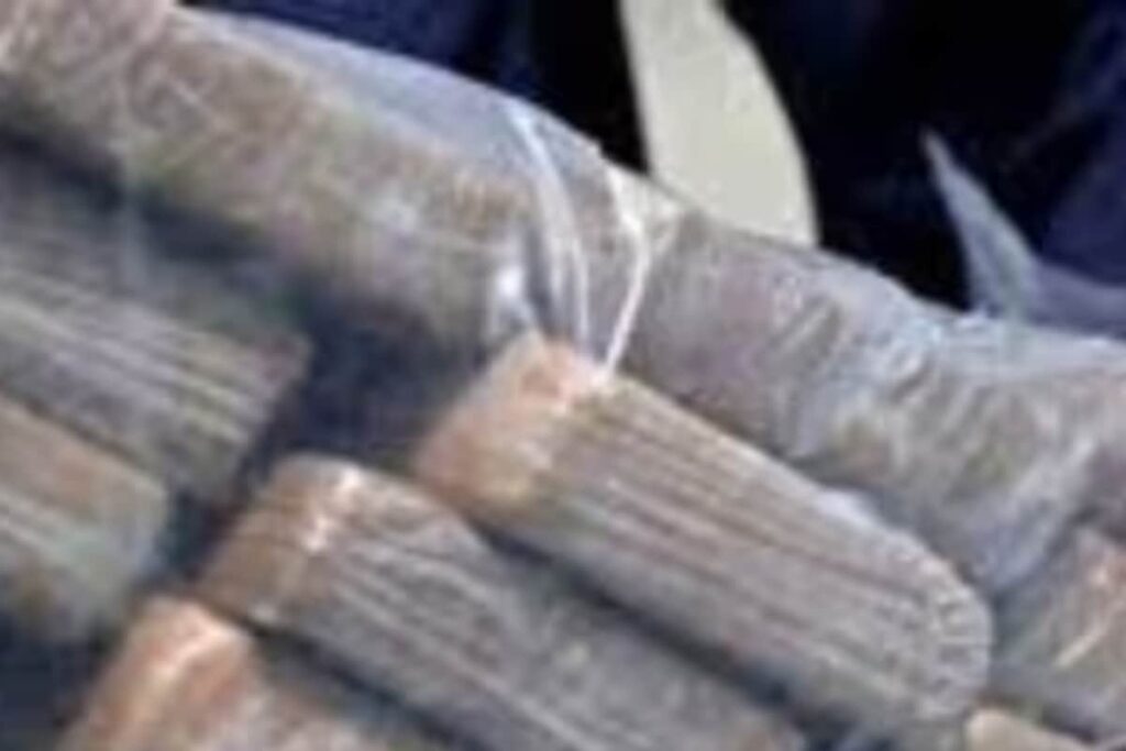 Punjab: Drone Recovered from Tarn Taran; Over 3 Kg Heroin Seized from Ferozepur, Amritsar