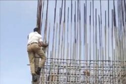 Hyderabad Cop Rescues Cat Stuck in Iron Rods of Uppal Elevated Corridor