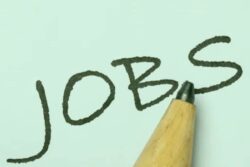 E-com To Create 7 Lakh Gig Jobs This Festive Season, Most Demands From These Cities