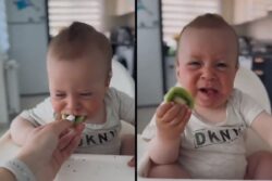 Baby's Reaction After Tasting Kiwi For The First Time Is Too Cute To Miss