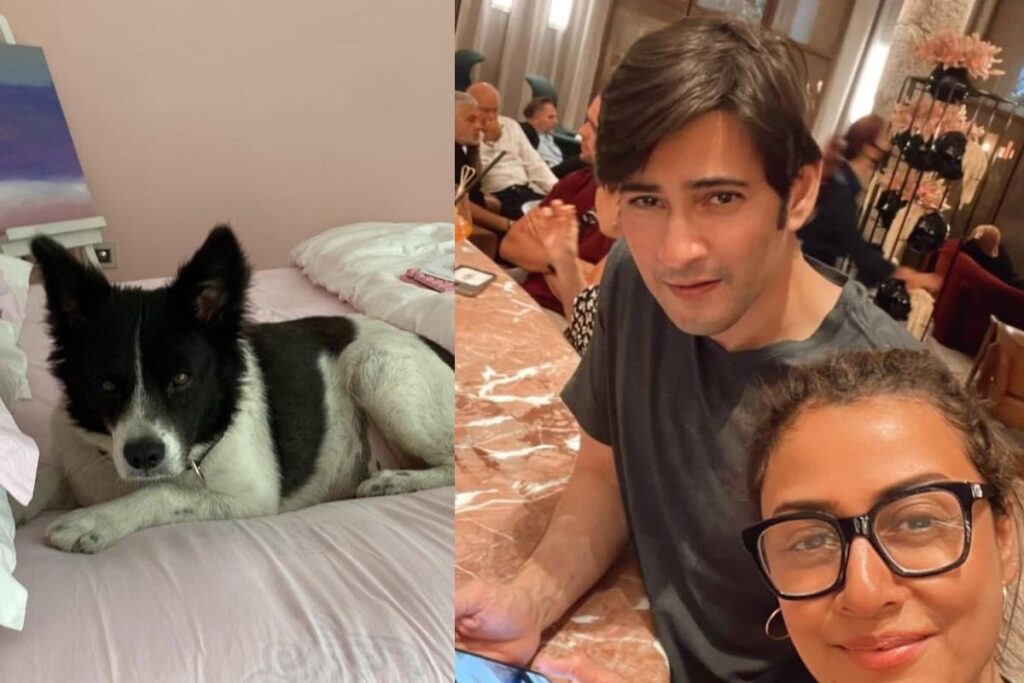 Mahesh Babu And Namrata Shirodkar’s Pet Dog Pluto Dies: ‘We Will Miss You In Our Hearts Forever’