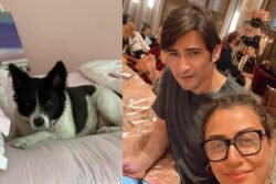 Mahesh Babu And Namrata Shirodkar’s Pet Dog Pluto Dies: ‘We Will Miss You In Our Hearts Forever’