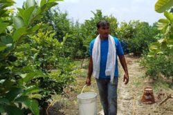 Sonipat Banker Ditches Job To Turn Organic Farmer, Earns Four Times The Bank Salary