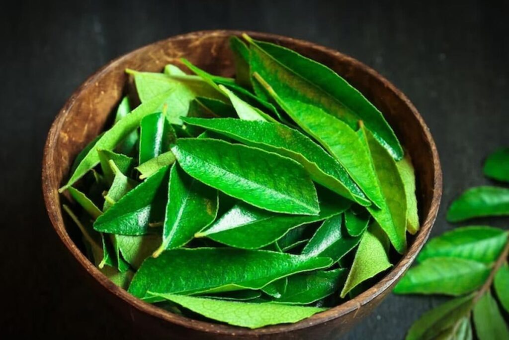 Managing Blood Sugar Levels To Promoting Weight Loss, 5 Health Benefits Of Curry Leaves