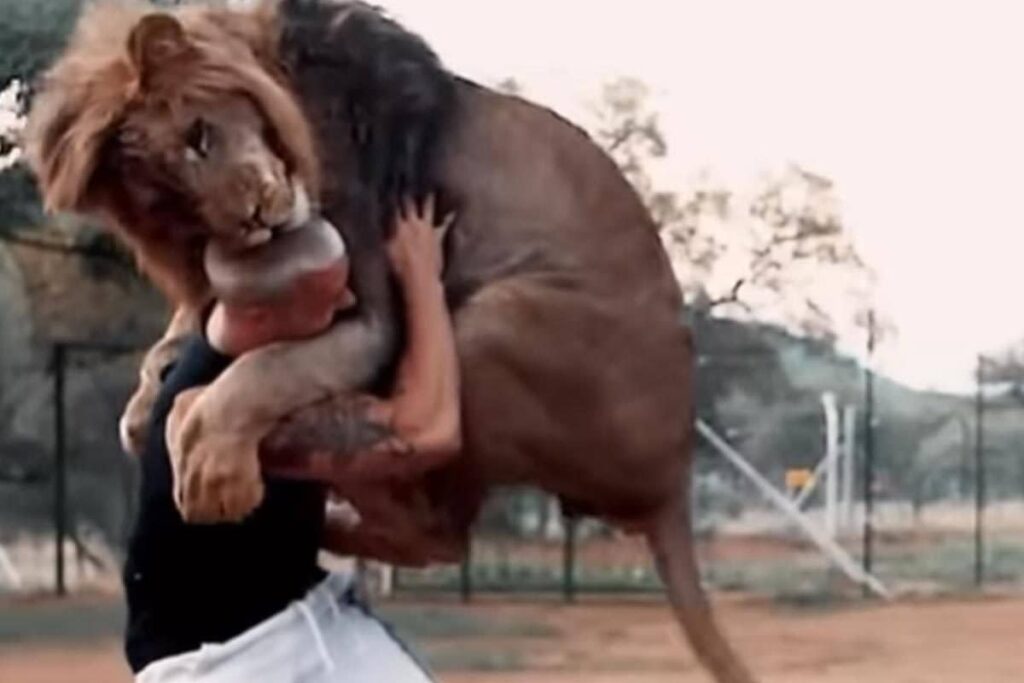 'World's Biggest Hug', Says Internet After Lion Jumps To Embrace Man