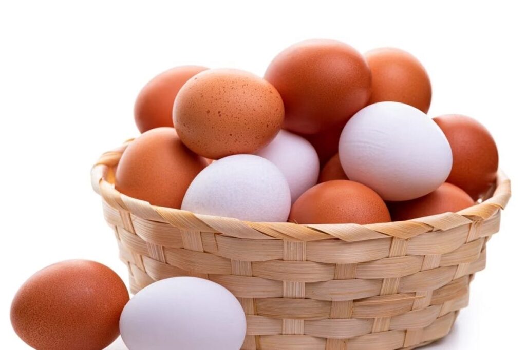 What Happens To An Egg When Dropped From Space? Watch And Find Out