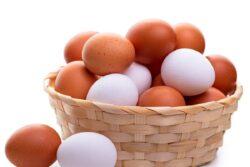 What Happens To An Egg When Dropped From Space? Watch And Find Out