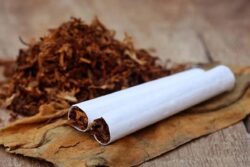 Camphor To Tobacco, 5 Things To Use To Get Rid Of Rodents From Your House