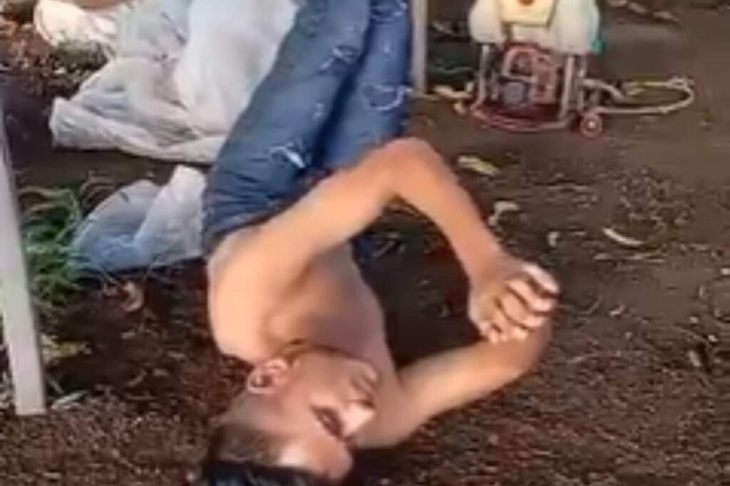 Maharashtra: In Shocking Video, 4 Men Hung Upside Down, Beaten With Sticks Over Pigeon Theft Suspicion; 6 Booked