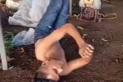 Maharashtra: In Shocking Video, 4 Men Hung Upside Down, Beaten With Sticks Over Pigeon Theft Suspicion; 6 Booked