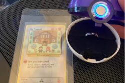 ‘I Choose You’: Man Uses Pokemon Card And Master Ball To Propose Girlfriend