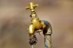 Mumbai: Pipe Burst in Andheri Shoots Water Several Feet High in Air