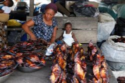 Bongos, Iboga, Aubameyang: As Gabon Plunges into Unrest, Five Facts about Africa’s Eden