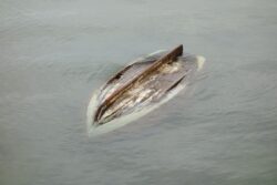 10 Tourists Rescued from Sinking Boat in Narmada River in MP Temple Town of Omkareshwar