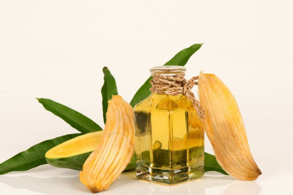 The Seed of Beauty: Why Mango Seed is a Treasured Ingredient in the World of Beauty?