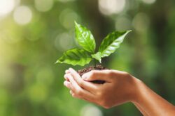 Career Wise: Want to Make an Impact on The Environment? These Jobs Are Just For You