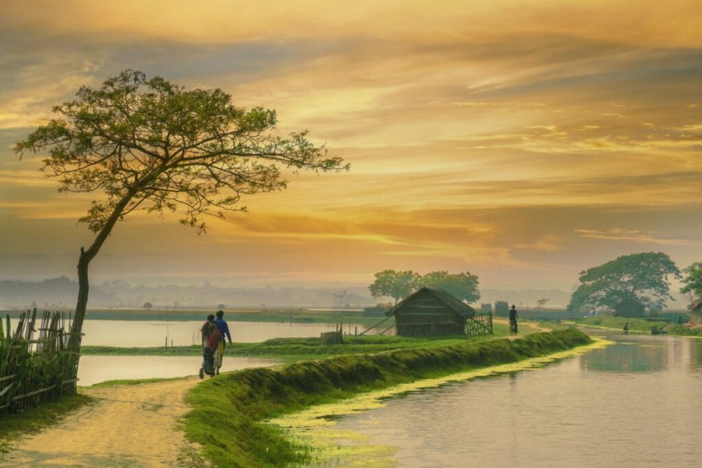 For Decades, Assam's Bardhanara Village - Home To Only One Family, Is Waiting For A Road