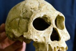 A Frigid Apocalypse Doomed Early Humans in Europe