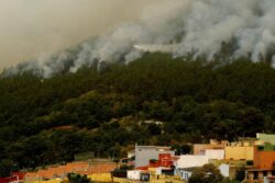 Spain PM Sanchez Hopes Tenerife Wildfire will Stabilise 'In Coming Days'