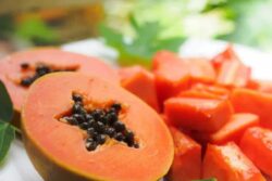 Revitalize Your Body with the Best Monsoon Fruit Selection