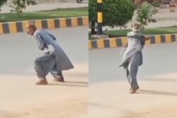 'Batsman Every Desi Boy Bowls At': Old Man's Imaginary Cricket on Road Has Internet Amused