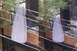 Woman's Nightgown Hanging On Tree Triggers Every Desi's 'Night' Fear, Watch Funny Video