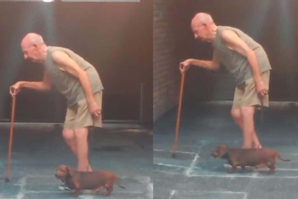 Video Of Dog Keeping Up With Elderly Man's Pace Is Too Cute To Miss