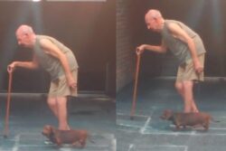 Video Of Dog Keeping Up With Elderly Man's Pace Is Too Cute To Miss