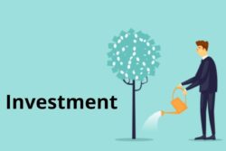 Investment Face-Off: Fixed Deposit vs Recurring Deposit! Which One Is Best For You?