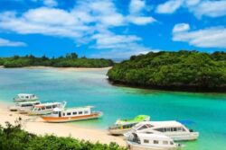 Travelling to Japan? 6 Tips and Tricks To Keep In Mind When Planning Your Trip