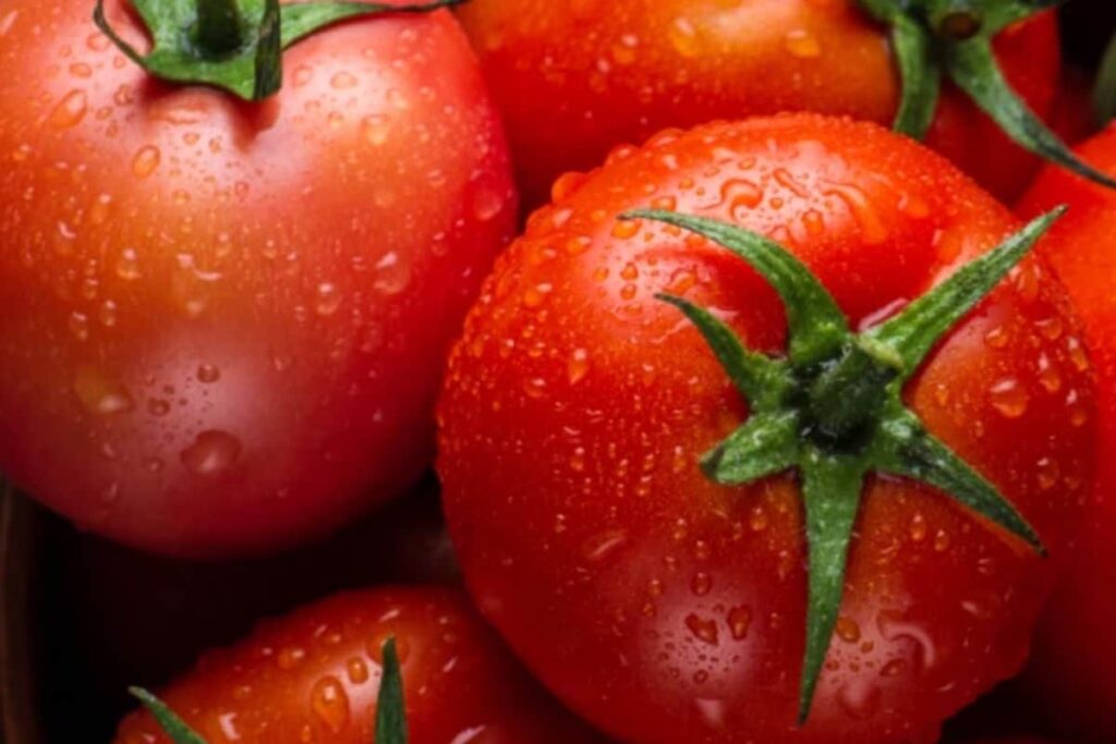Tomato Price Relief Soon! India Starts Importing Tomato From Nepal