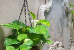 7 Vastu Tips To Maintain A Healthy Balance And Harmony In Your House