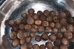 This Karnataka Seed Oil Is In High Demand In Belgium, Deets Inside