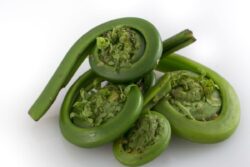 Healthy Eyes To Blood Pressure, 5 Health Benefits Of Fiddleheads