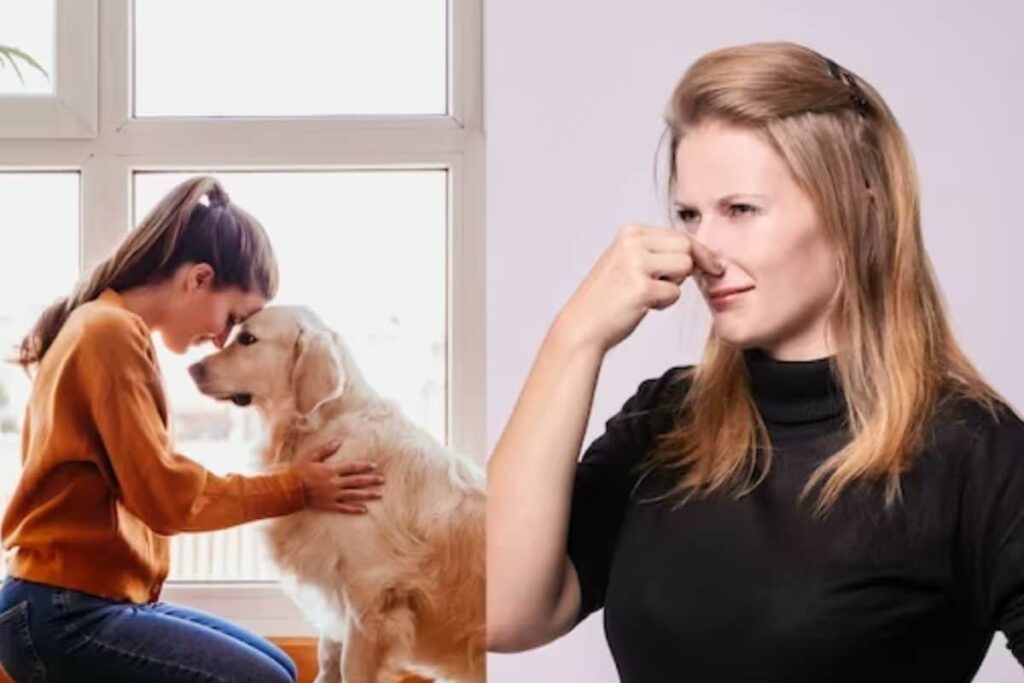 Fart Jar To Delivery Video, Models Share Weird Fan Demands On Adult Website