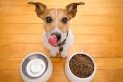 Want A Low-Investment Business Plan For Lucrative Returns? Here's Something For You