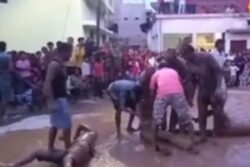 In This Chhattisgarh District, Devotees Act Like Snakes During Nag Panchami