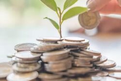 What Is a Business Cycle Fund? How It Offers Long-Term Financial Benefits