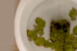 Woman Hears Strange Noise From Her Washroom, And Then She Sees This