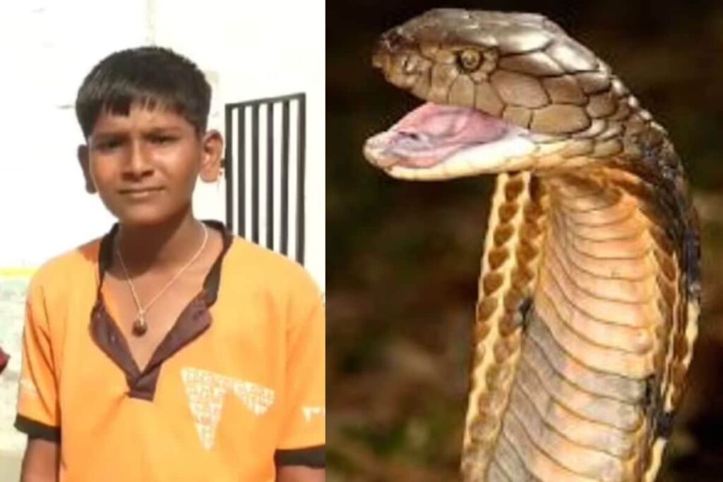 15-Year-Old Karnataka Boy Survives Despite 15 Snake Bites