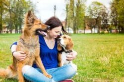 Friendship Day 2023: 5 Ways Your Pet Showcases Camaraderie And Love Towards You