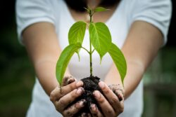 Conscious Consumerism: 5 Tips To Be A Conscious Purchaser and Consumer